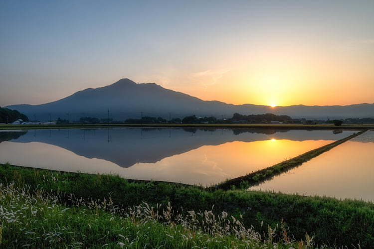 茨城県農業の特徴は？ 現状の強みと課題、就農支援の例