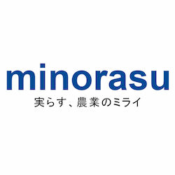 minorasu編集部