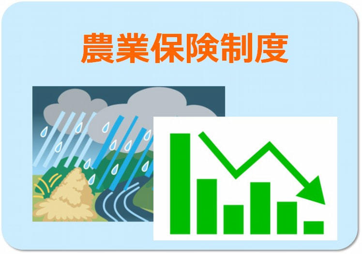 農業保険法とは？改正点と農家が知るべき補償内容