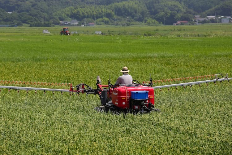 イネの“ごま葉枯病”を徹底防除！ 症状の特徴と有効な対策・農薬一覧