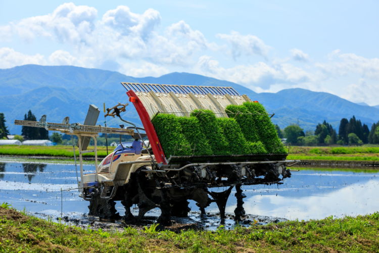 田植機の選び方は？ 失敗を防ぐ4つのポイント&最新おすすめ機種情報