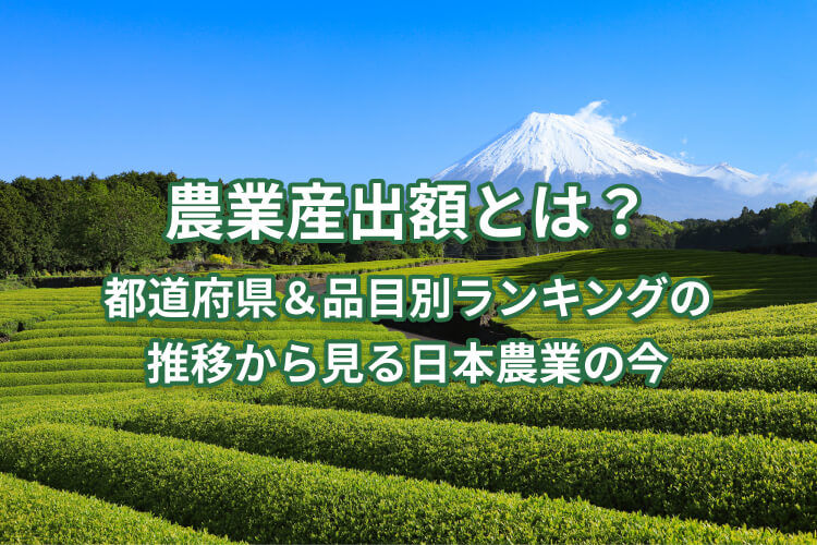 農業産出額とは？ 都道府県別ランキングと品目別推移を解説