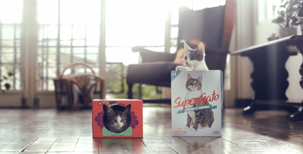 猫まっしぐら！ 売上が31%もアップしたパッケージデザインによる革命 - Super Gato