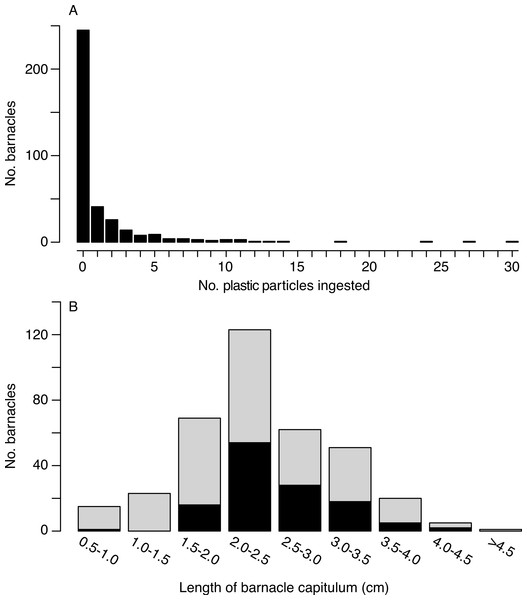 Number of microplastic particles ingested by barnacles.