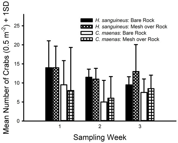 Densities of crabs in rocky substrate 1.7 m above MLW.