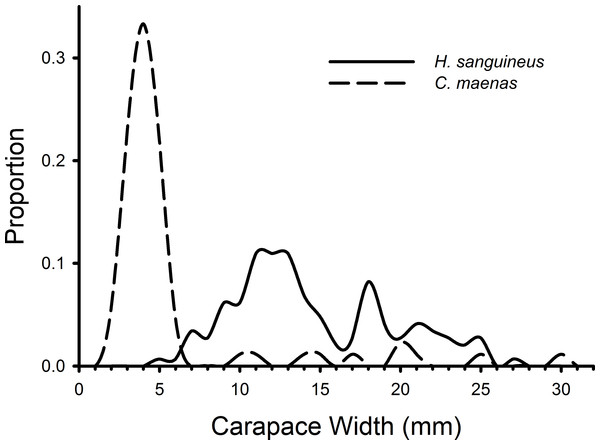 Size frequency distributions of crabs in rocky substrate.