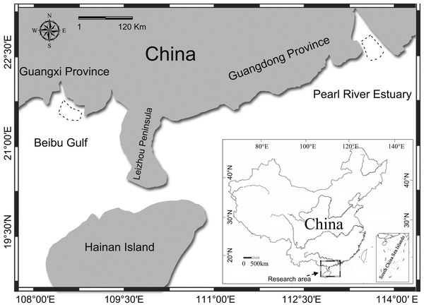 Map of the study area.