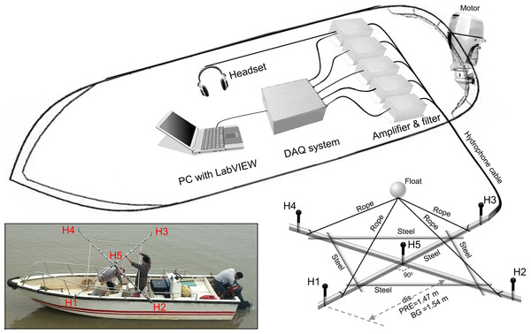 Schematic of experimental apparatus and the array design.