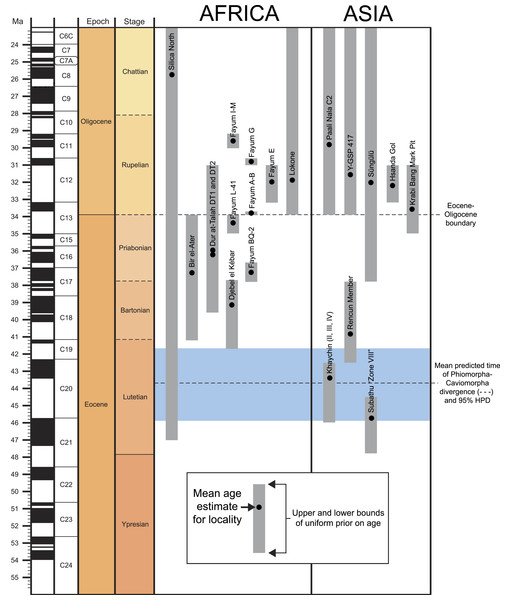 Uniform age priors for localities from which species in this analysis were sampled, with the sole or mean estimates provided by the tip-dating analysis (as output in the MrBayes “*.vstat” file).