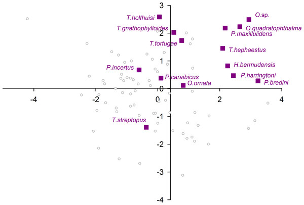 Morphological variation demonstrated by the DFA scores (first and second root only) of Porifera associates.