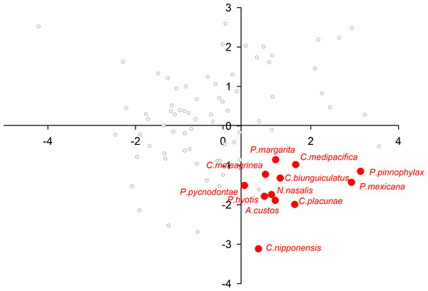 Morphological variation demonstrated by the DFA scores (first and second root only) of Bivalvia associates.