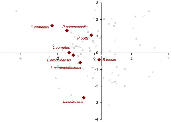 Morphological variation demonstrated by the DFA scores (first and second root only) of Crinoidea associates.