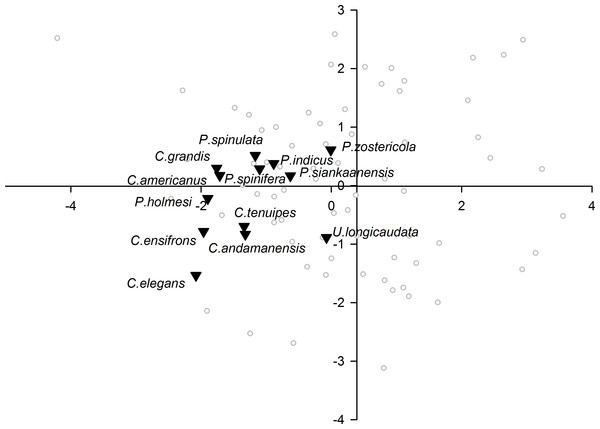 Morphological variation demonstrated by the DFA scores (first and second root only) of non-commensal species.