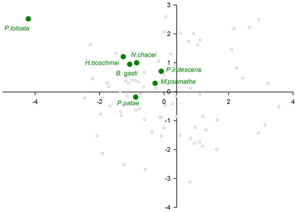 Morphological variation demonstrated by the DFA scores (first and second root only) of Gorgonacea associates.