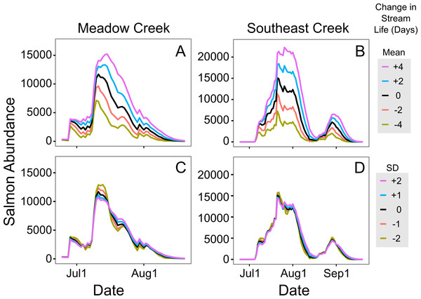 Sensitivity of in-stream salmon abundance estimates to changes in stream life.