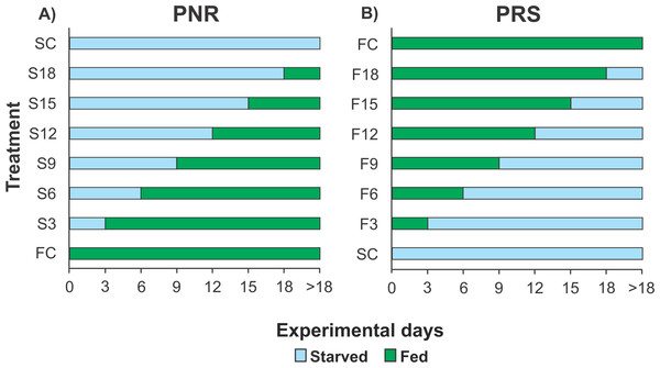 Experimental Design of PNR and PRS.