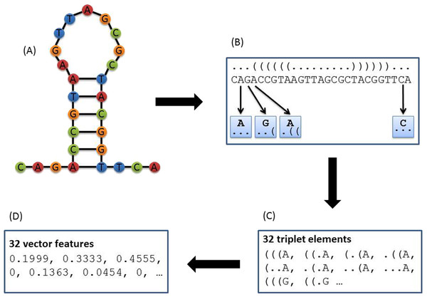 Principle of triplet elements that contain both sequence and structural information.