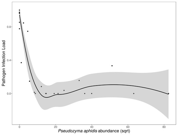 Disease severity as a function of P. aphidis abundance.