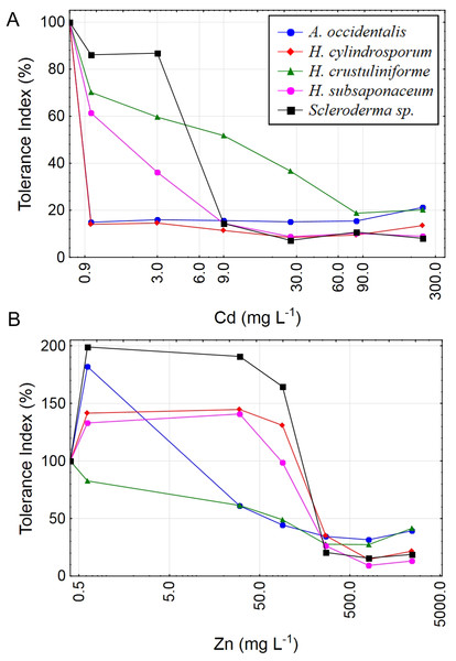 Tolerance index for five ectomycorrhizal fungi exposed to Cd and Zn.