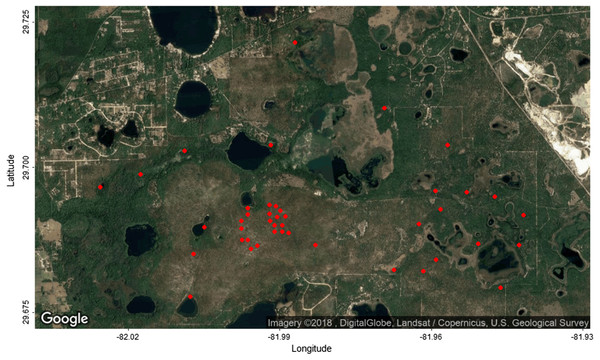 Google Maps image of the study area with the location of the 43 field plots (red dots).