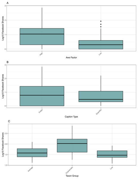 Boxplot of shares.