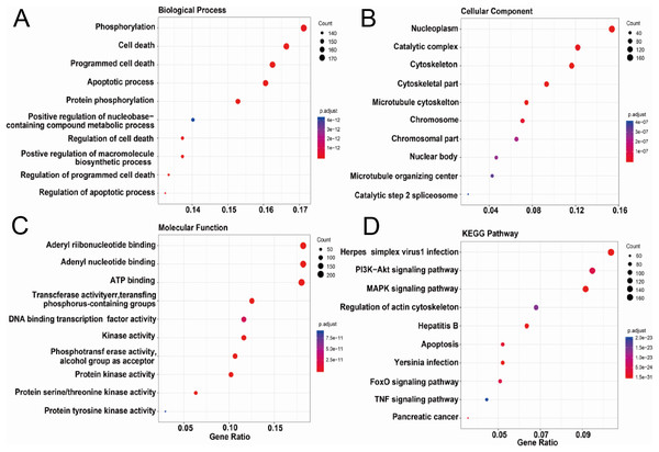 Functional enrichment analysis of AAPs.