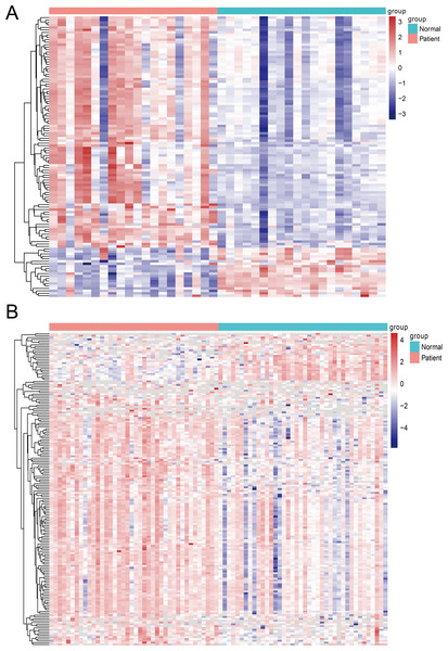 The heatmap of differentially expressed miRNAs between tumor tissues and normal tissues.