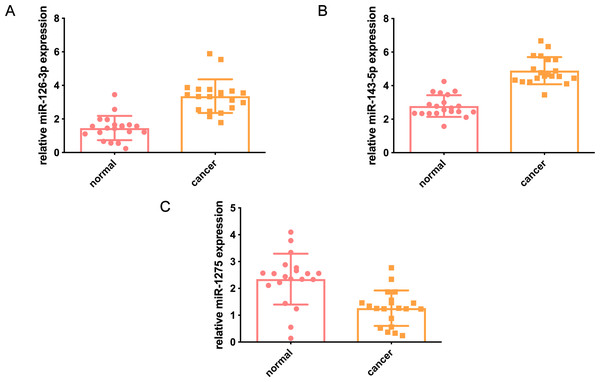 Verification of miRNA expression in clinical samples.