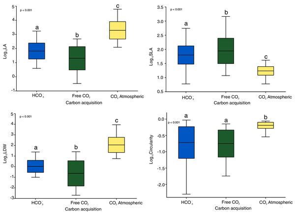 Functional and shape leaf traits in different carbon acquisition.