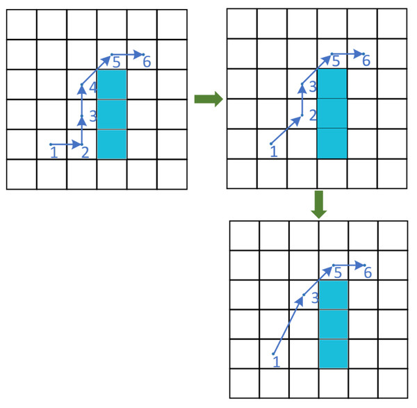 The process of the LPS.