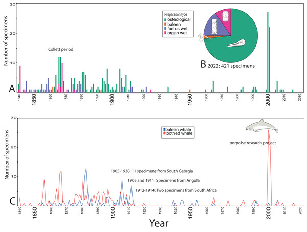 Temporal trends for whale specimens entering the collection, NHM Oslo, 1840–2021.
