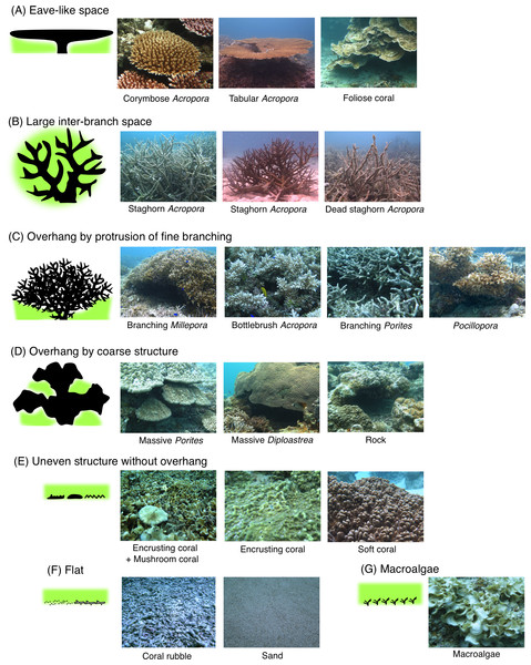 (A–G) Schematic diagrams of the seven types of substrate architectural characteristics (physical structure) and some examples of substrates for each type.