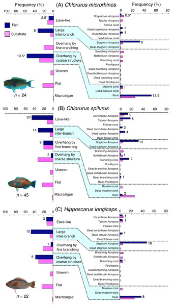 (A–C) Relative frequency (%) of fish individuals associated with substrates and substrate availability for the three parrotfish species (Chlorurus microrhinos,C. spilurus and Hipposcarus longiceps).