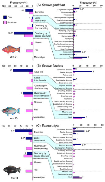 (A–C) Relative frequency (%) of fish individuals associated with substrates and substrate availability for the three parrotfish species Scarus ghobban, S. forsteni and S. niger).