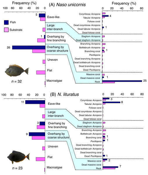 (A–B) Relative frequency (%) of fish individuals associated with substrates and substrate availability for the two surgeonfish species.