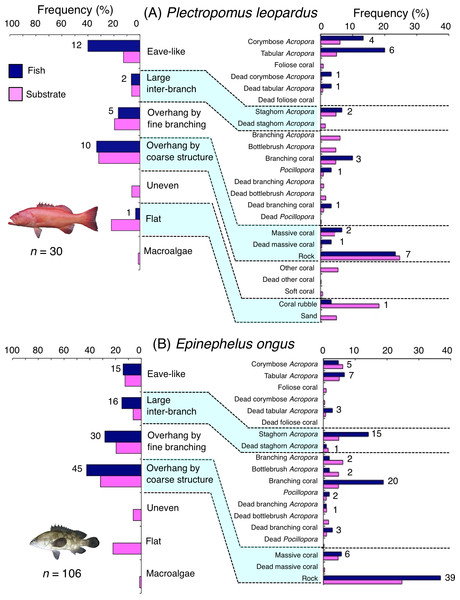 (A–B) Relative frequency (%) of fish individuals associated with substrates and substrate availability for two grouper species.