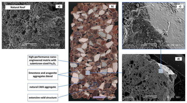 The design and structure of Oceanite substrate as compared to natural reef material.