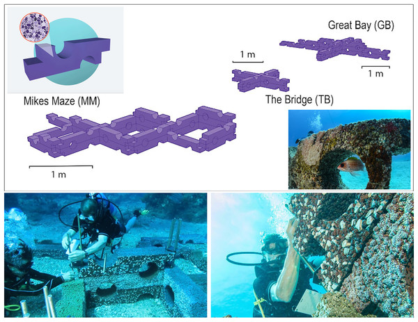 Modular Oceanite artificial reef structures deployed off the coast of Philipsburg, Sint Maarten.