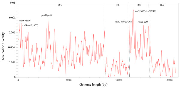 Nucleotide diversity (π) by sliding window analysis in the multiple alignments of the 23 Hymenasplenium plastomes.