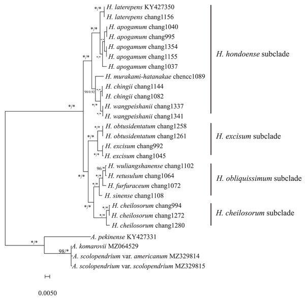 Maximum likelihood phylogeny based on complete chloroplast genome sequences.