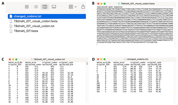 Exporting the program running results.