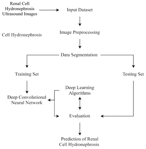 Flowchart of current study.