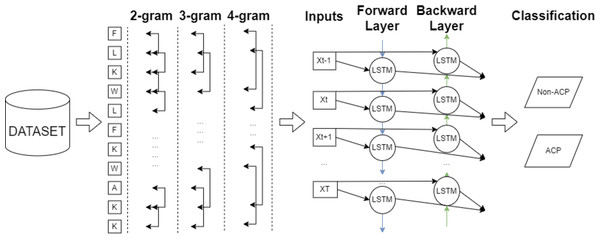 The architecture of consolidated FastText+BiLSTM framework.