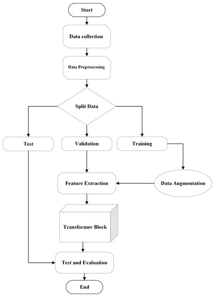 Flow chart of algorithm.