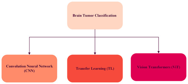 The tree diagram of related works for brain tumor classification.