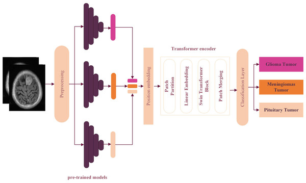 The proposed hyper deep learning Transformer Encoder architecture model for brain tumor classification.