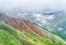 古田山自然保护区景点图片