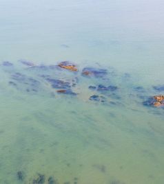 日照游记图文-【山东】三天自驾三座城，去探寻不同美景