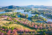 上海辰山植物园景点图片