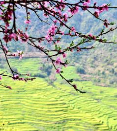 开化游记图文-走马观花：皖南、婺源、开化、千岛湖